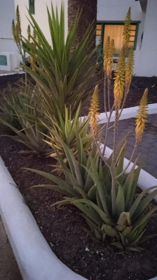 Blue View Hermoso Remodelado Ubicacion Ideal Apartment Costa Teguise
