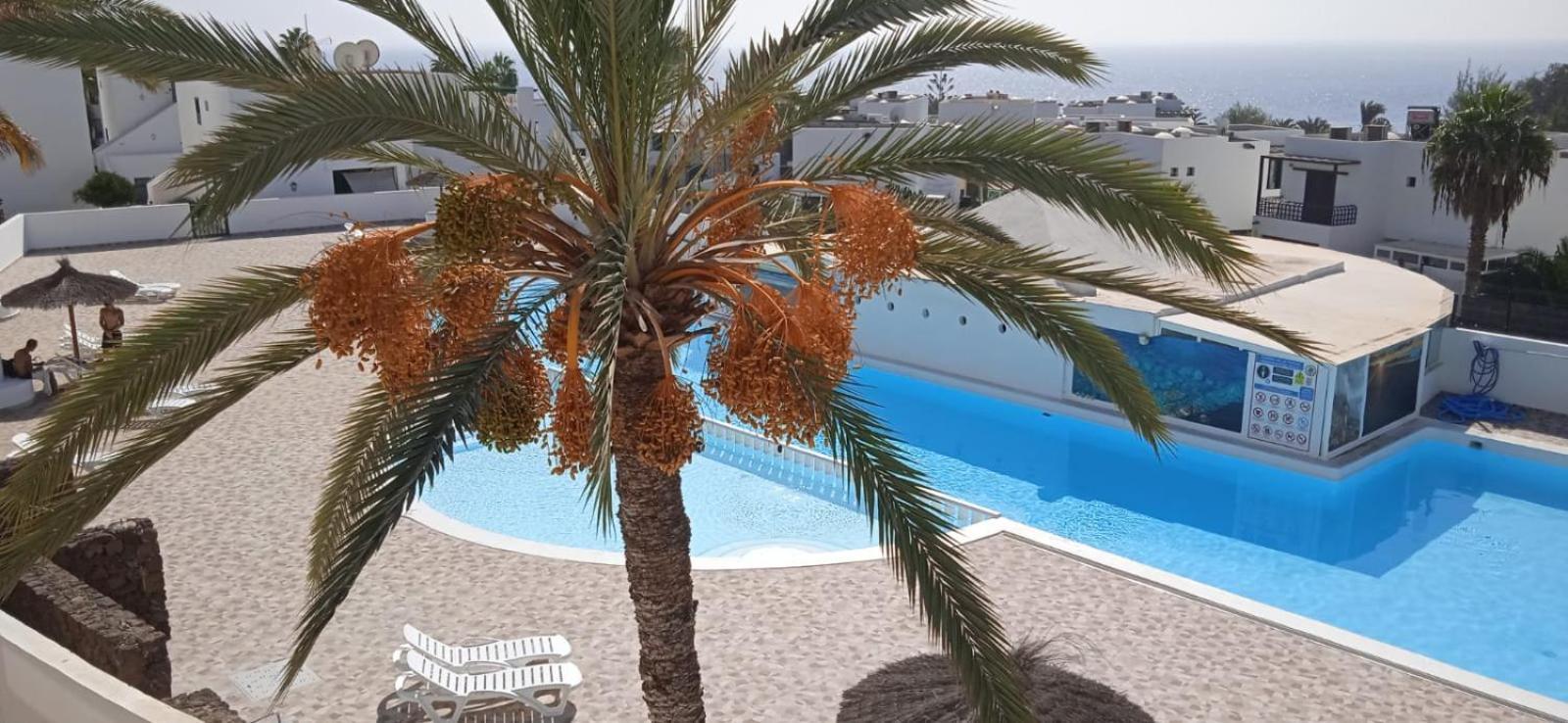 Apartment Blue View Hermoso Remodelado Ubicacion Ideal *